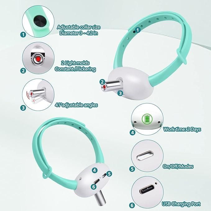 Cat Collar Toy with LED Lights – The Ultimate Fun for Indoor Cats 🐱