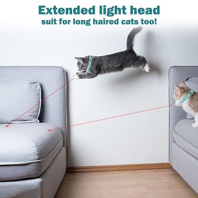 Cat Collar Toy with LED Lights – The Ultimate Fun for Indoor Cats 🐱